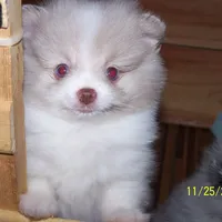 processed/e3aed293-20c0-42b8-b46a-05ae0c9c5033/facility/7efe25ef-6380-44e1-a3a1-92e3096041ba