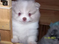 processed/e3aed293-20c0-42b8-b46a-05ae0c9c5033/facility/7efe25ef-6380-44e1-a3a1-92e3096041ba