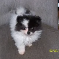 processed/e3aed293-20c0-42b8-b46a-05ae0c9c5033/facility/8776c357-8488-46d0-b891-304973bff577