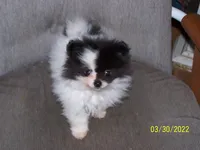 processed/e3aed293-20c0-42b8-b46a-05ae0c9c5033/facility/8776c357-8488-46d0-b891-304973bff577