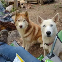 processed/e3aed293-20c0-42b8-b46a-05ae0c9c5033/facility/ba903147-17ce-434f-9335-7ec637a26ccd