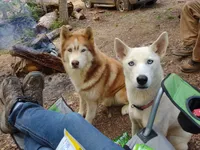 processed/e3aed293-20c0-42b8-b46a-05ae0c9c5033/facility/ba903147-17ce-434f-9335-7ec637a26ccd