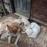 processed/e3aed293-20c0-42b8-b46a-05ae0c9c5033/facility/dd0edd58-e79b-4a22-998e-fedb2d1b8e44