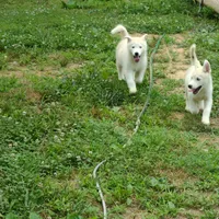 processed/e3aed293-20c0-42b8-b46a-05ae0c9c5033/facility/e82a9ad8-0db3-4d65-a41b-ca3739cef765