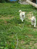 processed/e3aed293-20c0-42b8-b46a-05ae0c9c5033/facility/e82a9ad8-0db3-4d65-a41b-ca3739cef765