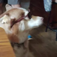 processed/e3aed293-20c0-42b8-b46a-05ae0c9c5033/facility/feed520e-9be4-4636-bc6a-b22e74b7c4bb