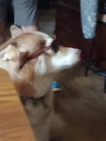 processed/e3aed293-20c0-42b8-b46a-05ae0c9c5033/facility/feed520e-9be4-4636-bc6a-b22e74b7c4bb