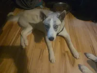 processed/e3aed293-20c0-42b8-b46a-05ae0c9c5033/listing/eaead270-a6a1-4fbc-a3b2-badce8b79124/236bfa13-64fb-40f5-abde-5773d9b64535