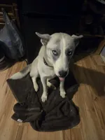 processed/e3aed293-20c0-42b8-b46a-05ae0c9c5033/listing/eaead270-a6a1-4fbc-a3b2-badce8b79124/5c05f44e-ab98-4808-b207-4aab8b70842d