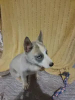 processed/e3aed293-20c0-42b8-b46a-05ae0c9c5033/listing/eaead270-a6a1-4fbc-a3b2-badce8b79124/6f411ba7-8f45-4690-b18e-c526b3920a94