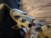 processed/e3aed293-20c0-42b8-b46a-05ae0c9c5033/listing/eaead270-a6a1-4fbc-a3b2-badce8b79124/79a737c6-34a9-4aa8-a6c3-59ad0ca69619