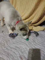 processed/e3aed293-20c0-42b8-b46a-05ae0c9c5033/listing/eaead270-a6a1-4fbc-a3b2-badce8b79124/a2a05c62-854f-4b77-ad5f-b4d353eafeae