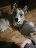 processed/e3aed293-20c0-42b8-b46a-05ae0c9c5033/listing/eaead270-a6a1-4fbc-a3b2-badce8b79124/e3ffdc05-9579-43ed-8cc1-e078cd815e74