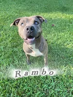 processed/e3b8adf0-31d1-4fb8-a010-51adce21d364/facility/5c38534e-ec49-44fc-9b06-d747337073e5