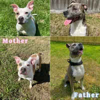 processed/e3b8adf0-31d1-4fb8-a010-51adce21d364/facility/cd53250c-c242-4ad8-bb1b-fba65daae519