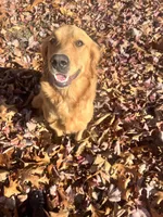 processed/e3c648a2-27a1-4963-b4c1-d05f0ab6ba15/facility/0f469d3c-d5bf-4e43-9bda-6c33b98b6a68