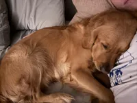 processed/e3c648a2-27a1-4963-b4c1-d05f0ab6ba15/facility/3719d870-bd8f-4687-931c-de56e9264174