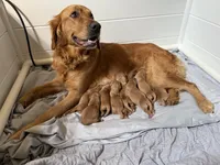 processed/e3c648a2-27a1-4963-b4c1-d05f0ab6ba15/facility/4e7336f2-f8fd-4c5d-b69a-784914ecf15f