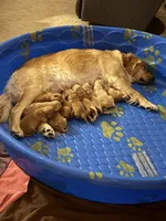 processed/e3c76a2f-2034-46b1-b59b-35542d3551ea/facility/26a70b78-20d6-4463-8509-d40b5da91583