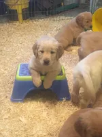 processed/e3c76a2f-2034-46b1-b59b-35542d3551ea/facility/3a370860-c420-4f57-9fd0-a7952d9782e6