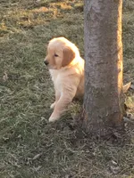 processed/e3c76a2f-2034-46b1-b59b-35542d3551ea/facility/4f615f4b-347e-494a-a219-baeb34303d8c