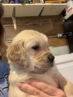 processed/e3c76a2f-2034-46b1-b59b-35542d3551ea/facility/573c7abd-b53a-4575-87be-ab9e1bab2536