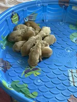 processed/e3c76a2f-2034-46b1-b59b-35542d3551ea/facility/58177768-b6d1-48db-bff9-113004153a75