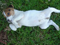 processed/e3d42037-fb0f-46c9-b265-560391a94bba/facility/f1bd9b26-88ff-4ada-89e5-7a7c39ca59c1