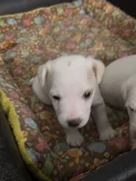 processed/e3d42037-fb0f-46c9-b265-560391a94bba/listing/48a8e8b7-a4e5-4683-b7ea-c39a9e96c003/1d25128e-a40c-42c6-92f3-812b5307c2ef