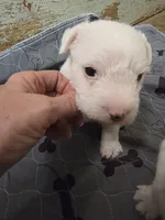 processed/e3d42037-fb0f-46c9-b265-560391a94bba/listing/48a8e8b7-a4e5-4683-b7ea-c39a9e96c003/f301c18c-d02b-44aa-b62c-d5e70bf2ff8a