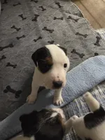 processed/e3d42037-fb0f-46c9-b265-560391a94bba/listing/7a914385-e848-4fa2-bb1b-844adfb842cf/6dd76cf0-236d-49a0-87aa-af9e5c7710ab