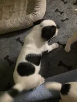 processed/e3d42037-fb0f-46c9-b265-560391a94bba/listing/7a914385-e848-4fa2-bb1b-844adfb842cf/bbfc31ca-eaeb-4e9e-b488-f909e3df620d