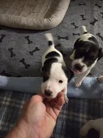 processed/e3d42037-fb0f-46c9-b265-560391a94bba/listing/7a914385-e848-4fa2-bb1b-844adfb842cf/f3117c75-f768-4cb6-bfaa-f781690e8ccb