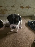 processed/e3d42037-fb0f-46c9-b265-560391a94bba/listing/7e6f2283-ac2a-4fed-b4ae-fcc1c0cbb05e/a183a149-2b1f-4289-8f0f-39df9f6b05da