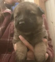 processed/e3d6f45d-e3d5-4175-a980-17a33ac96bb5/listing/ae53e659-cc5d-4f91-a7b0-601a972242fd/4989af8b-6c83-4773-ae91-1a856fce6c32