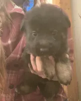 processed/e3d6f45d-e3d5-4175-a980-17a33ac96bb5/listing/ae53e659-cc5d-4f91-a7b0-601a972242fd/536f030f-9e97-40e8-8ae5-22b2e7db6e92