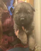 processed/e3d6f45d-e3d5-4175-a980-17a33ac96bb5/listing/ae53e659-cc5d-4f91-a7b0-601a972242fd/5e60ee11-7168-4507-aa23-9912a9c75110