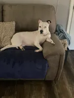 processed/e3d7618f-efae-4600-bbc6-e4367d86634e/listing/fa025973-fe59-40e8-a208-119ea5aff927/3896de20-37db-4dd0-ac5e-4274095c1b1d