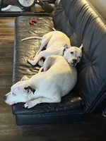 processed/e3d7618f-efae-4600-bbc6-e4367d86634e/listing/fa025973-fe59-40e8-a208-119ea5aff927/9f2e5519-cb6c-4b5f-a974-f4ca96a3dec6