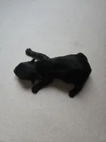FULL BLACK - BOY, a male Poodle - Toy  and Morkie for sale in Lawndale, CA – 3 of 8