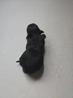 BLACK /WHITE GIRL, a female Poodle - Toy  and Morkie for sale in Lawndale, CA – 4 of 10