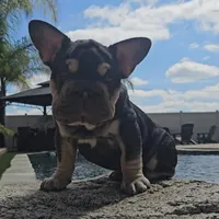 processed/e3f42d9f-6595-4287-9b4e-7c85ce0de267/facility/3078e641-59e0-4342-ab65-522631a1fe95