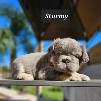 processed/e3f42d9f-6595-4287-9b4e-7c85ce0de267/facility/45c34c9d-2910-4134-aaf4-a12df5e5f1f1