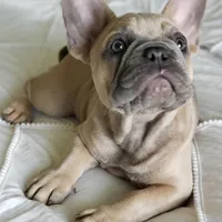 processed/e3f42d9f-6595-4287-9b4e-7c85ce0de267/facility/e128ee3e-b6c4-4e7d-86b7-2a6a58ad7569