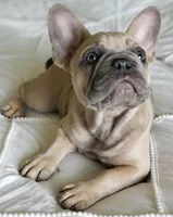 processed/e3f42d9f-6595-4287-9b4e-7c85ce0de267/facility/e128ee3e-b6c4-4e7d-86b7-2a6a58ad7569