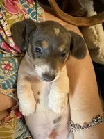 processed/e3f819d8-4e90-41e6-9dc4-27880d6226af/listing/1b4a3724-73a6-4dc2-be4e-7cd8ef38f910/3b0afda4-5fe2-41ea-8e3f-255e05c510ef