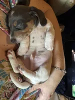 processed/e3f819d8-4e90-41e6-9dc4-27880d6226af/listing/1b4a3724-73a6-4dc2-be4e-7cd8ef38f910/42b15eab-0017-4980-bbbb-8c22765bb6f9