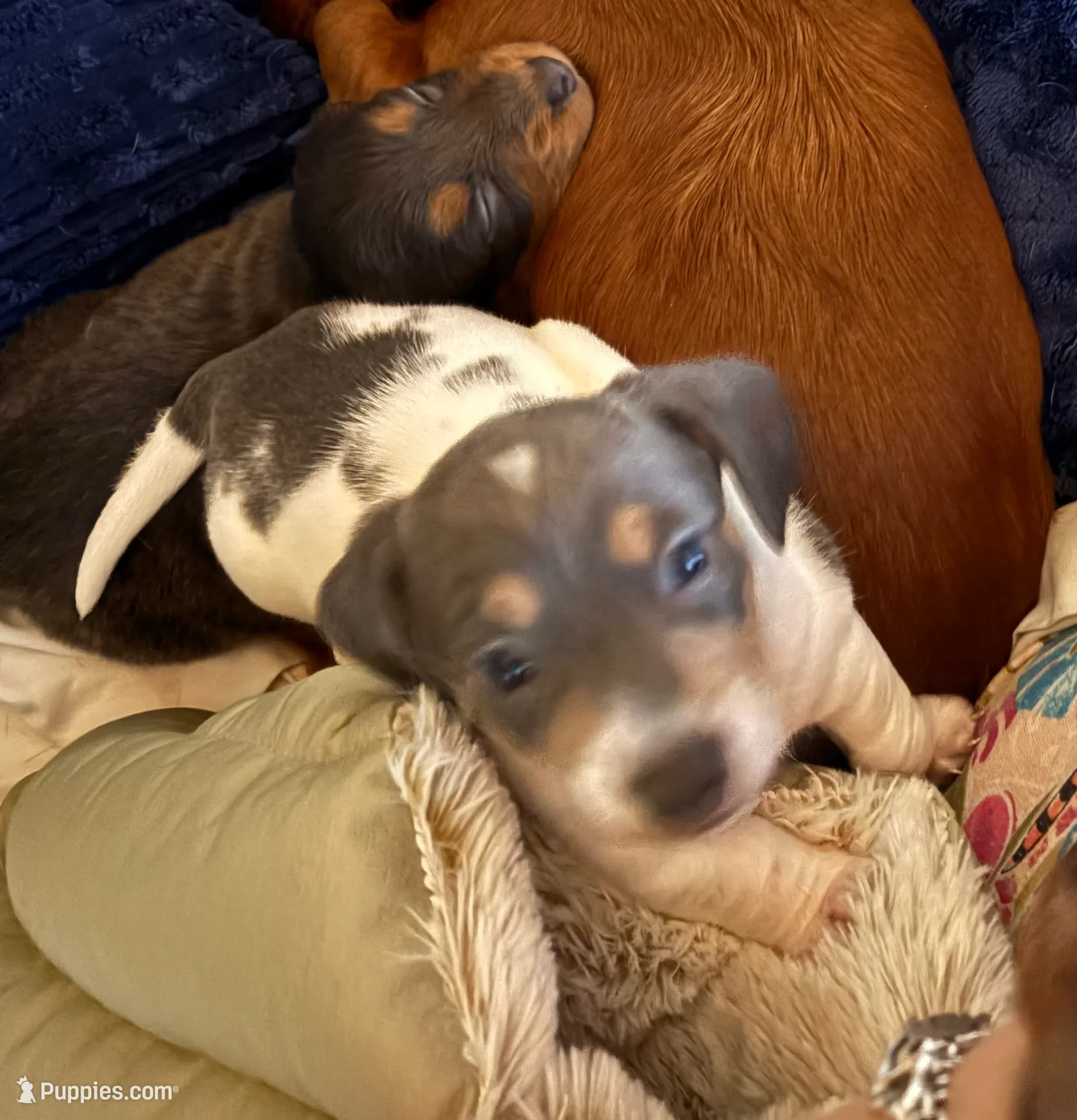 processed/e3f819d8-4e90-41e6-9dc4-27880d6226af/listing/1b4a3724-73a6-4dc2-be4e-7cd8ef38f910/88e7d0ab-d85c-4e90-bc73-8a0244dd5b6d