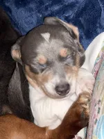 processed/e3f819d8-4e90-41e6-9dc4-27880d6226af/listing/1b4a3724-73a6-4dc2-be4e-7cd8ef38f910/9063a69b-4dd8-4795-883c-5cc81206e548