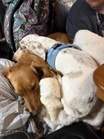 processed/e3f819d8-4e90-41e6-9dc4-27880d6226af/listing/1b4a3724-73a6-4dc2-be4e-7cd8ef38f910/f40d7587-a493-466e-95ab-f9cbc4543460